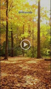 The Warrior Circle - Hillary Bittman Video Reel