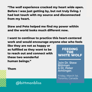 Transformational Event - Feeding the White Wolf